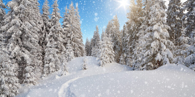 Winter Landscape Happy Holidays